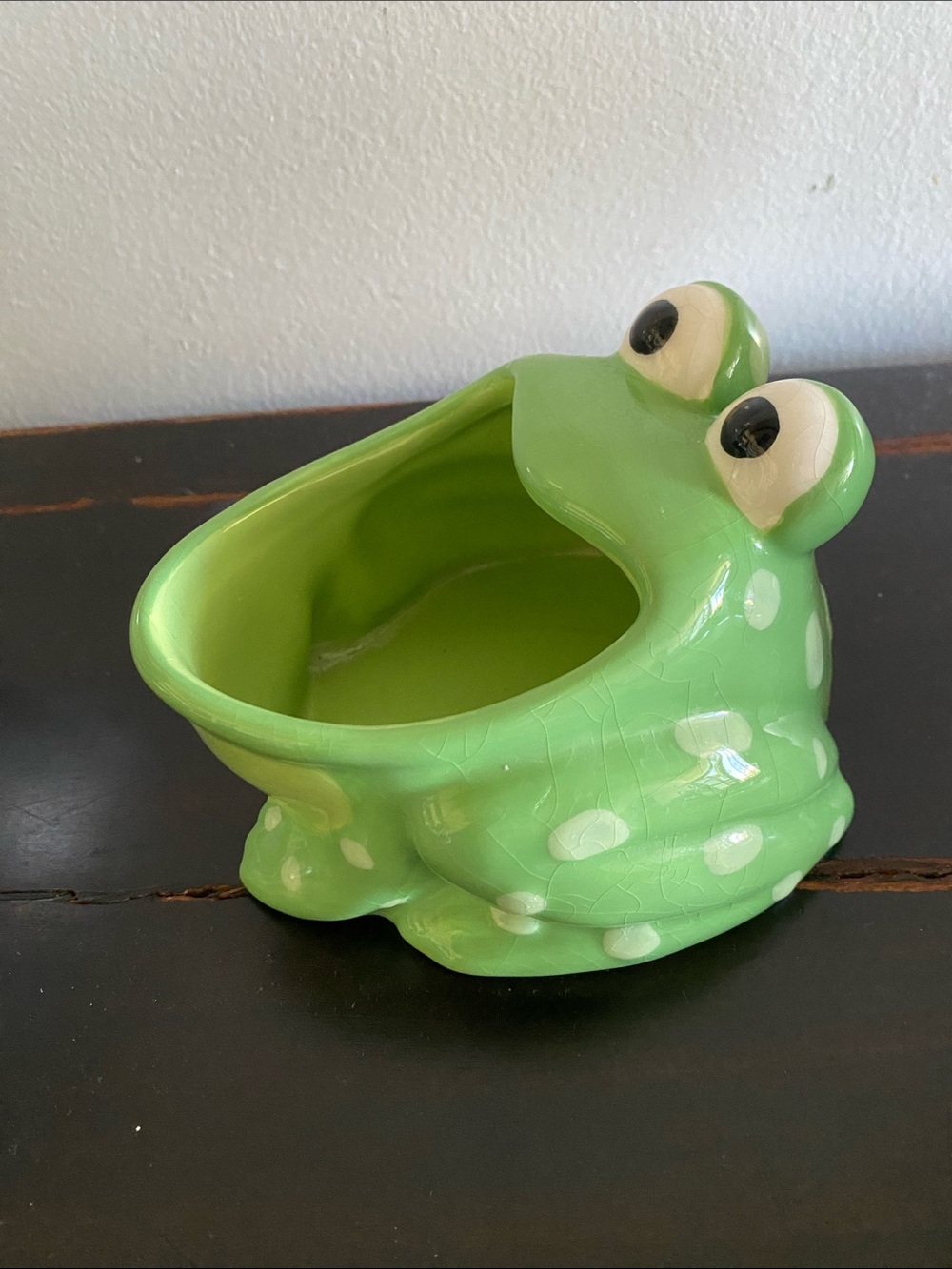 Fun Frog planter pot Ceramic